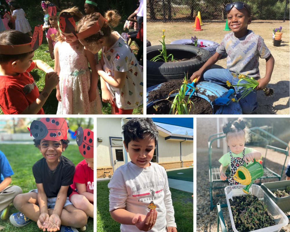 Featured Image for Spring Education Group Students Play Their Part in Protecting The Environment for Earth Day